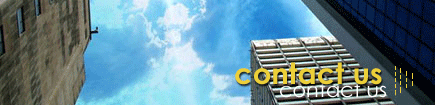 Contact SEO Asia