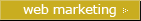 Web Marketing Strategy